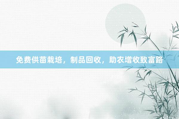 免费供苗栽培，制品回收，助农增收致富路