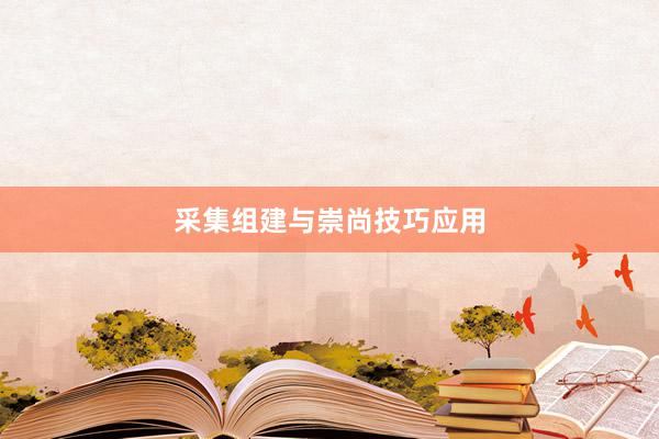 采集组建与崇尚技巧应用