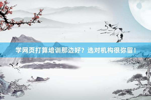 学网页打算培训那边好?选对机构很弥留!